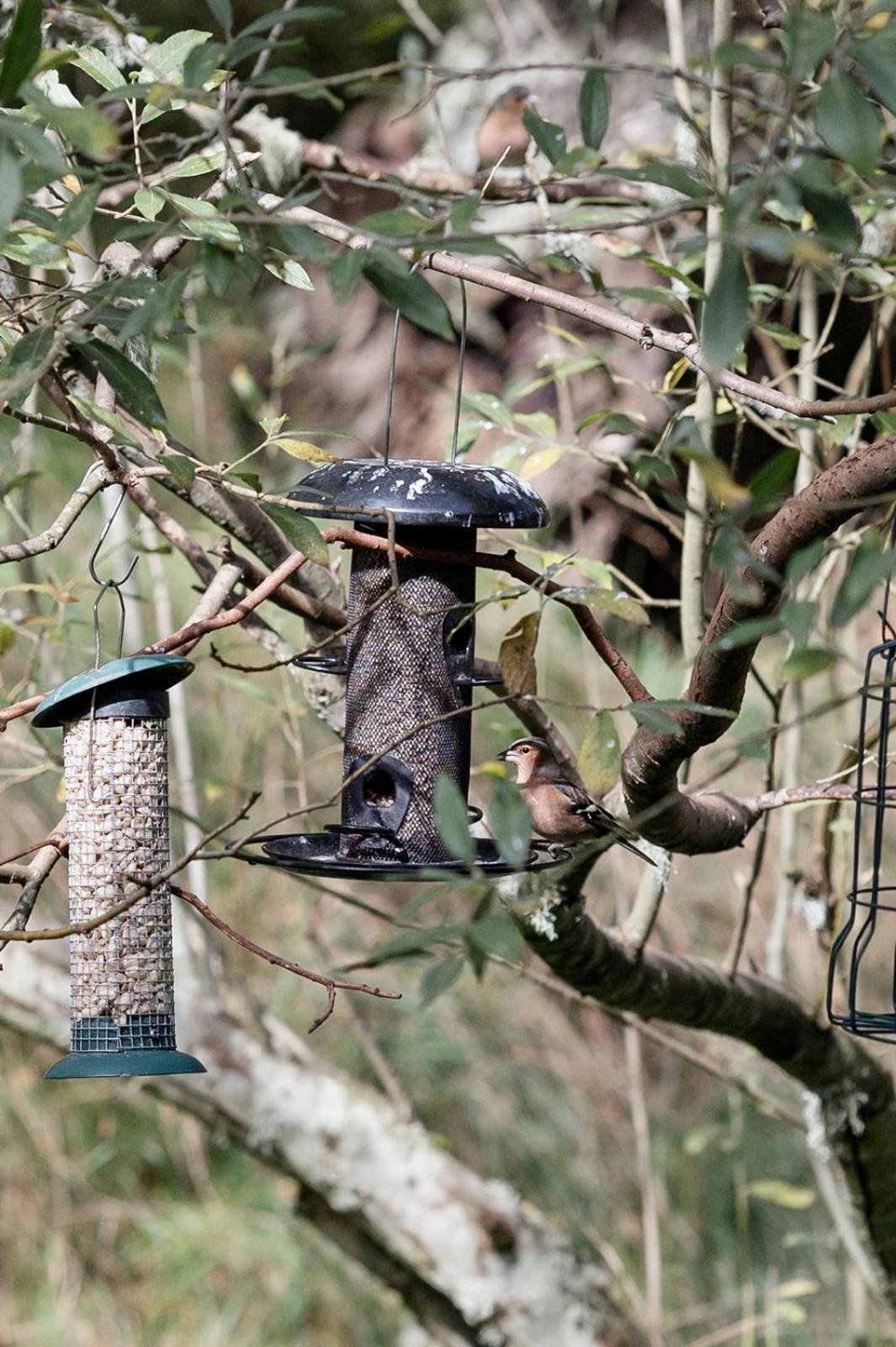 Siskin Guest Suite Kinrara Eksteriør bilde