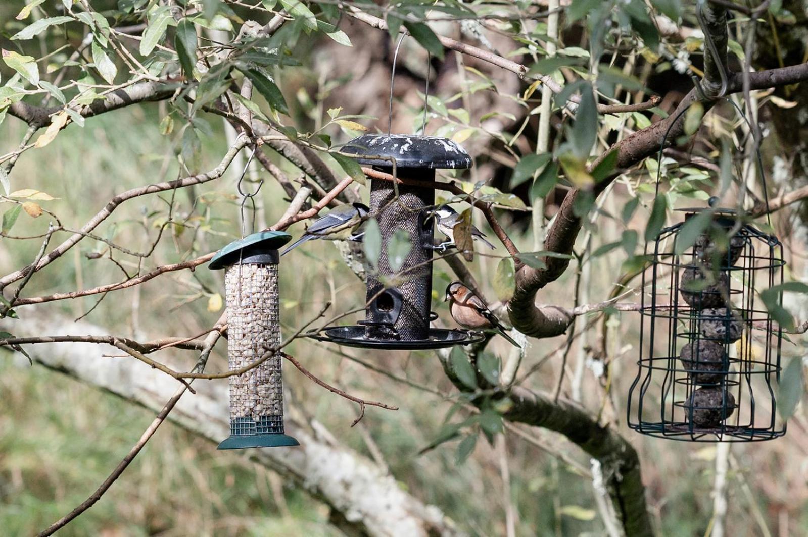 Siskin Guest Suite Kinrara Eksteriør bilde